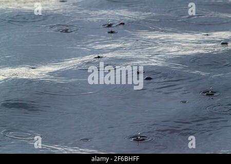 Rain drops splashing, bouncing, on moving, gently upswelling water surfaces of a slow moving river. Close to. Stock Photo