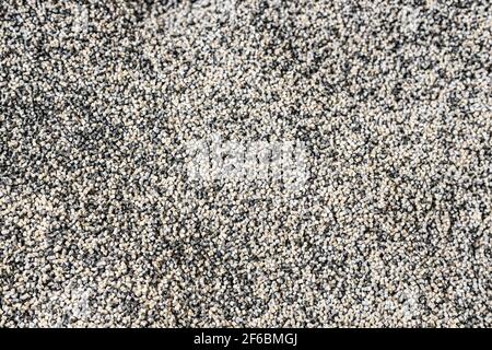 Open barrel full grain malt. White polypropylene bag. PP Stock Photo