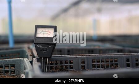 Close up view of soil meter for measured pH and moisture in greenhouse. Stock Photo