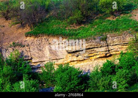 yellow textured limestone rock near the sea. Stock Photo