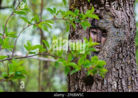 Mysterious face carved in tree trunk in forest. Stock Photo