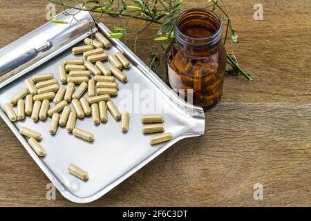 Colorful drug pill  in black bottle and dried of Andrographis paniculata plant in drug counting tray on wooden background Stock Photo