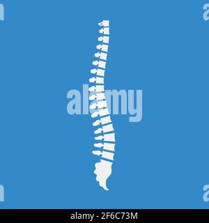 Side view of the spine on blue background Stock Vector