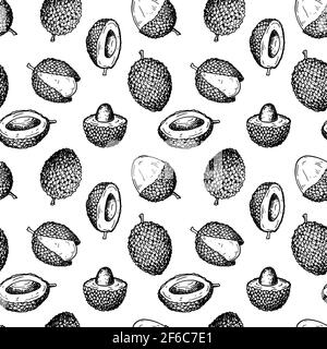 Hand drawn lychee fruit seamless pattern. Vector illustration in botanical sketch style Stock Vector