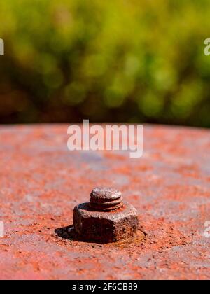 Rusty nut on old iron plate - blurred background Stock Photo
