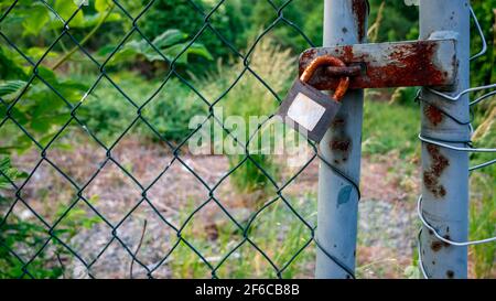 Rusty lock on a wire fence with blurred greenery in the background Stock Photo