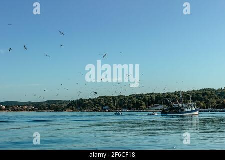 Fishing boat with seagulls flying around. Ship sailing to port.Commercial fishing boat in Croatia. Ship surrounded by wild birds. Blue sea and clear Stock Photo