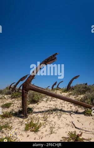 Ilha de Tavira with anchor cemetery on Praia do Barril beach, with many rusting anchors in the sand. Eastern Algarve, Portugal Stock Photo