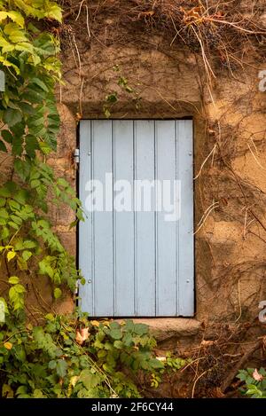 Closed window with grey shutters on brown wall with green leaves Stock Photo