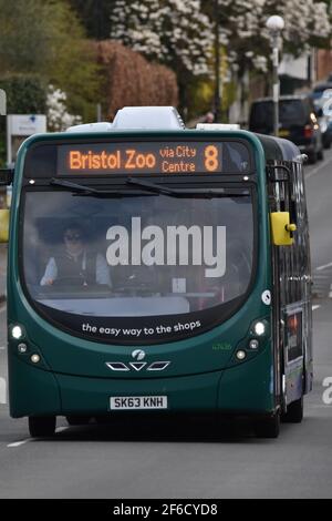 A green coloured bus in Bristol, with Bristol Zoo on it Stock Photo