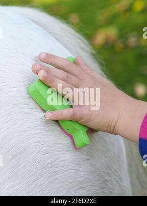 Close up of children decorating a pony with animal friendly paint and chalk. Stock Photo