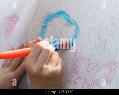 Close up of children decorating a pony with animal friendly paint and chalk. Stock Photo