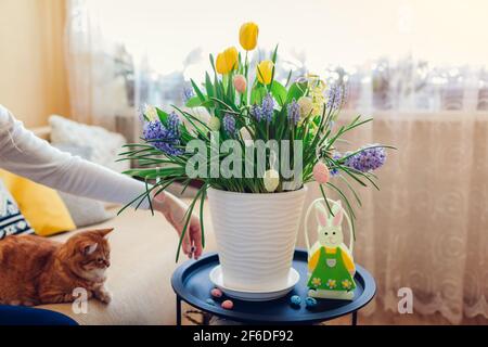 Muscari Easter Pot