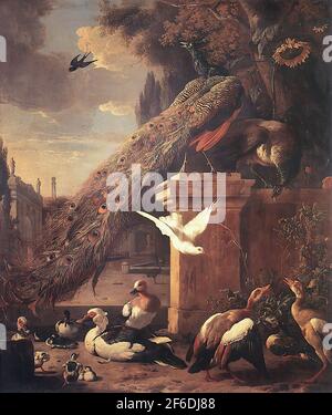Melchior d'Hondecoeter - Peacocks Ducks 1680 Stock Photo