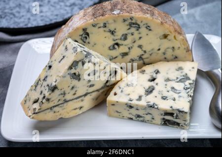 Cheese collection, piece of French blue cheese fourme d'ambert close up Stock Photo