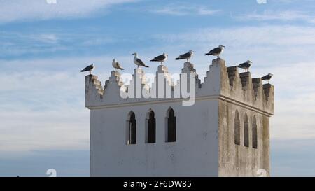 A tower in the old part of the city in Morocco with seagulls perched on every point. Blue sky with a small amount of clouds. Stock Photo