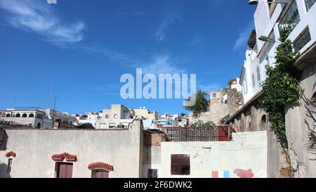 Seagulls perched on the rooftop of a castle like building early in the morning in the Kasbah of Tangier, Morocco. A vivid blue backdrop of the Mediter Stock Photo