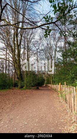 Newhailes woodland at Musselburgh, East Lothian, Scotland, UK Stock Photo