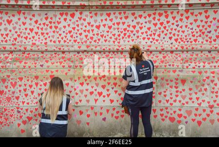 London, United Kingdom. 31st March 2021. Volunteers paint red hearts on the National Covid Memorial Wall. Nearly 150,000 hearts will be painted by volunteers, one for each Covid-19 victim in the UK to date, on the wall outside St Thomas' Hospital opposite Houses Of Parliament.
