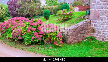 Domestic garden in the french Normandy in a cloudy day Stock Photo
