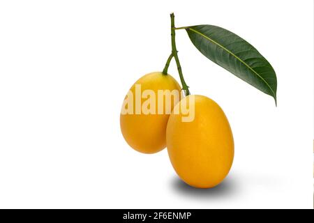 Ripe Marian Plum with leaf isolated on white background with clipping path. Sweet yellow marian plum the tropical fruit ripen in summer season. Stock Photo