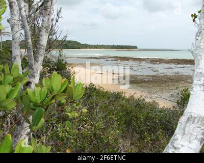 porto seguro, bahia / brazil - january 2, 2010: View of the Espelho Beach in the city of Porto Seguro. *** Local Caption *** Stock Photo