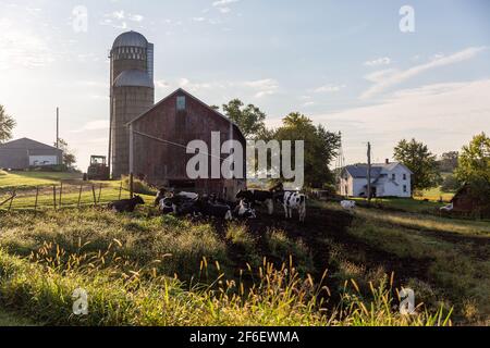 A farm in the hilly Driftless Area of Wisconsin. Stock Photo