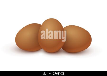 Three raw brown eggs set. Organic fresh food for breakfast vector illustration. Whole eggs ready for cooking and eating, yolk and protein inside, isol Stock Vector