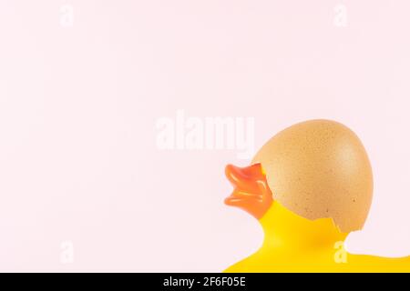 Rubber duck with cracked eggshell on pastel pink background. Easter minimal concept. Creative Happy Easter or spring layout. Stock Photo