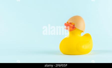 Rubber duck with cracked eggshell on pastel blue background. Easter minimal concept. Creative Happy Easter or spring layout. Stock Photo