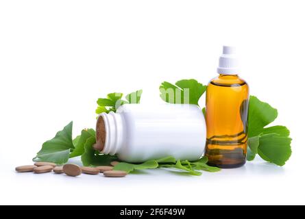 Pills with extract from the ginkgo in bottle and green leaves isolated on a white background. Stock Photo