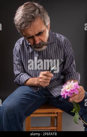 Bearded man with insane stubbornness looks through the magnifying glass the dahlia petals Stock Photo