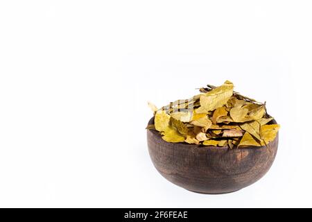 Dried coca leaves - Erythroxylum coca Stock Photo