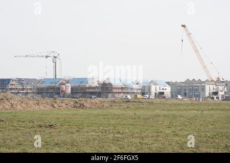 Nijmegen, Netherlands - March 24, 2021: Residential area where many homes are being under construction with cranes with a meadow in the foreground Stock Photo