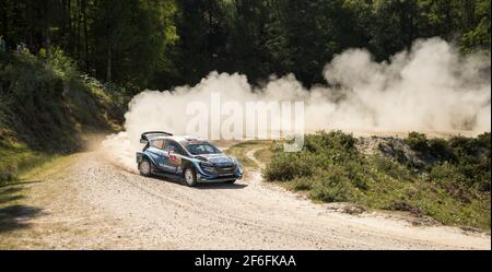 33 EVANS elfyn (GBR), MARTIN scott (GBR), FORD FIESTA WRC, M-SPORT FORD WORLD RALLY TEAM, action during SS12 Cabeceiras 2 stage in 2019 WRC PORTUGAL