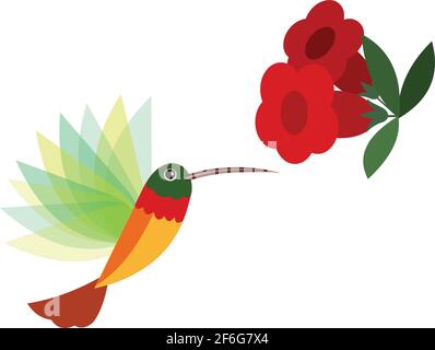 Humming Bird illustration vector isolated on white background Stock Vector