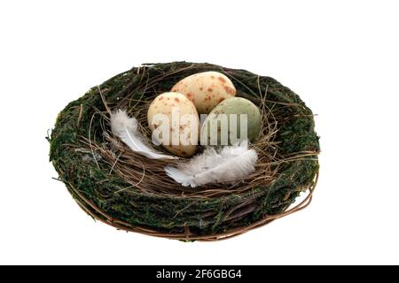 Three chocolate Easter eggs in a birds nest - white background Stock Photo