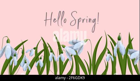 Hi spring spring postcard. Primroses and lilies of the valley. First flowers.horizontal format.Vector illustration. Stock Vector