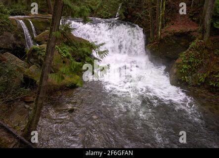 Whatcom Falls Bellingham Washington USA. Water pours over Whatcom Falls in the Pacific Northwest city of Bellingham, Washington. Stock Photo