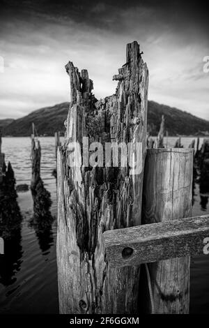 Harbour pilings, Loch Etive, Scotland Stock Photo