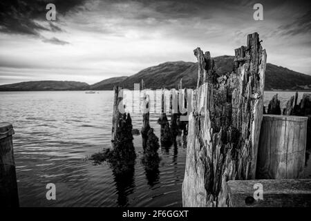 Harbour pilings, Loch Etive, Scotland Stock Photo