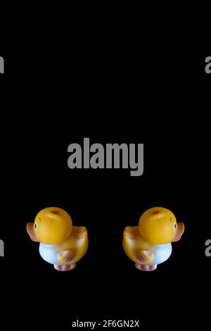 Mirror image of two yellow rubber ducks facing away from each other against black background Stock Photo