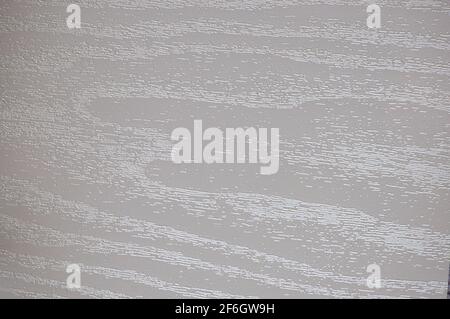 Wavy pattern of natural light wood with a bright silvery shade. Background, pattern, texture. Stock Photo