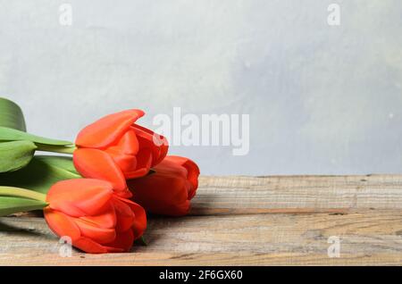 A bouquet of three red tulips on rough wooden boards on an abstract background. Selective focus. Stock Photo