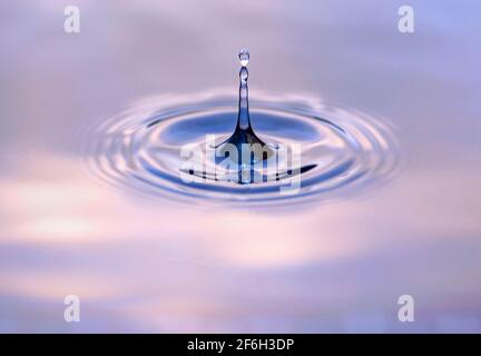Water droplet dripping into blue and purple pool creating ripples and abstract shape of water. Darkest area is in camera focus. Image contains some gr Stock Photo