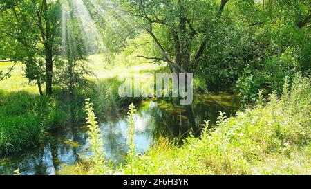 river Tauber ford brook nature lush green in the sunshine shallow water trout fishing floodplain floodplain wilderness near-natural environment Stock Photo Alamy