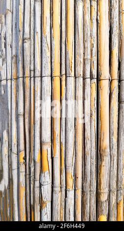 Background template bamboo poles cladding gray yellow rough weathered template nature material building material bound fence decor asia tropical desig Stock Photo