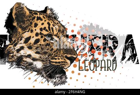 Leopard Head Banner vector Illustration on Rainforest Background Sillhouette Stock Vector