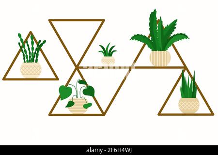 Unusual shelf with indoor flowers in pots. Rack with plants. Various indoor green plants on the shelves. Vector, design element. Stock Vector