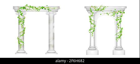 Old greek arch with white marble columns and ivy vines with green leaves. Vector realistic set of 3d ancient roman pillars with climbing plants isolated on white background Stock Vector